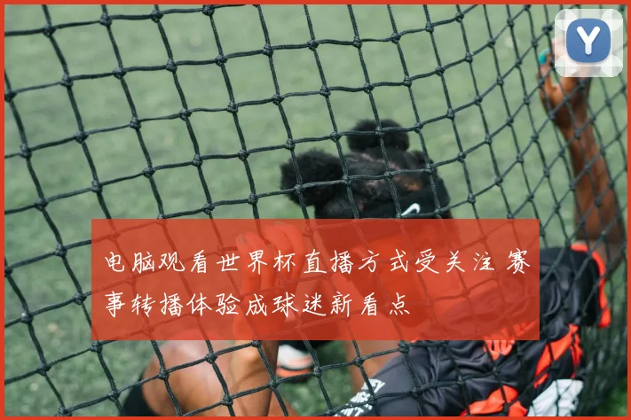 电脑观看世界杯直播方式受关注 赛事转播体验成球迷新看点